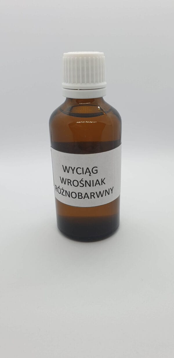 Wyciąg z Wrośniaka Różnobarwnego 50ml