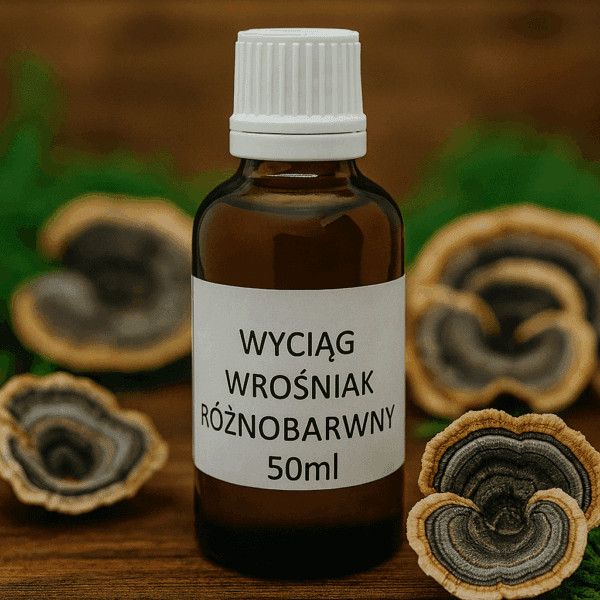 Wyciąg z Wrośniaka Różnobarwnego 50ml