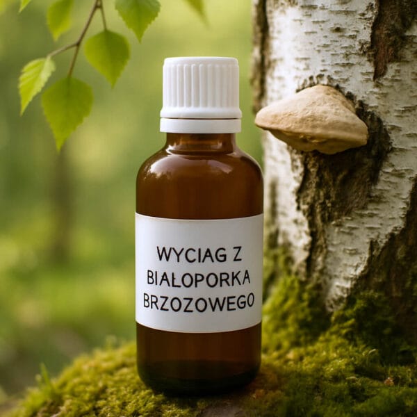 Butelka z wyciągiem z białoporka brzozowego ustawiona na mchu obok pnia brzozy i grzyba nadrzewnego w naturalnym otoczeniu leśnym.