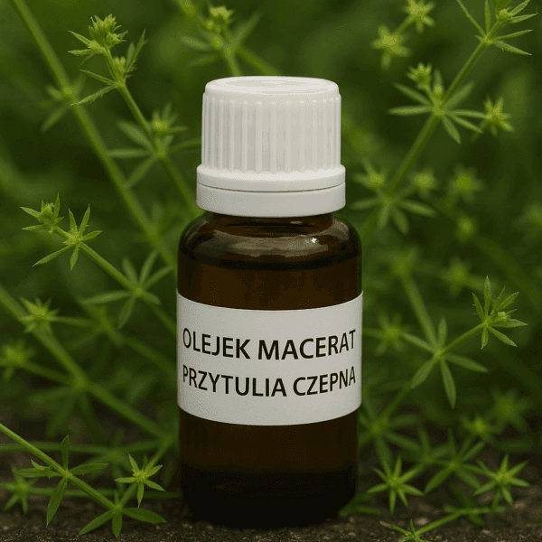 olej-macerat-z-przytuli-czepnej Olejek Macerat z Przytuli Czepnej