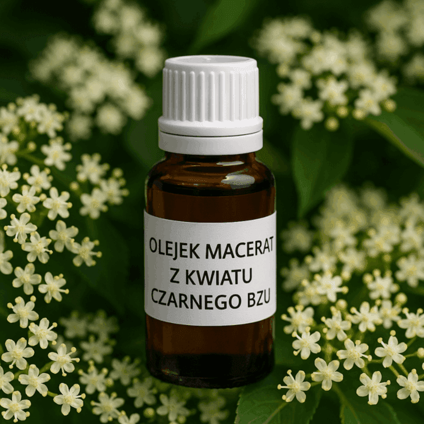 olejek-macerat-z-kwiatu-czarnego-bzu Olejek Macerat z kwiatu Czarnego Bzu