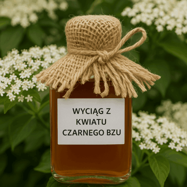 wyciag-z-czarnego-bzu Wyciąg z kwiatu Czarnego Bzu