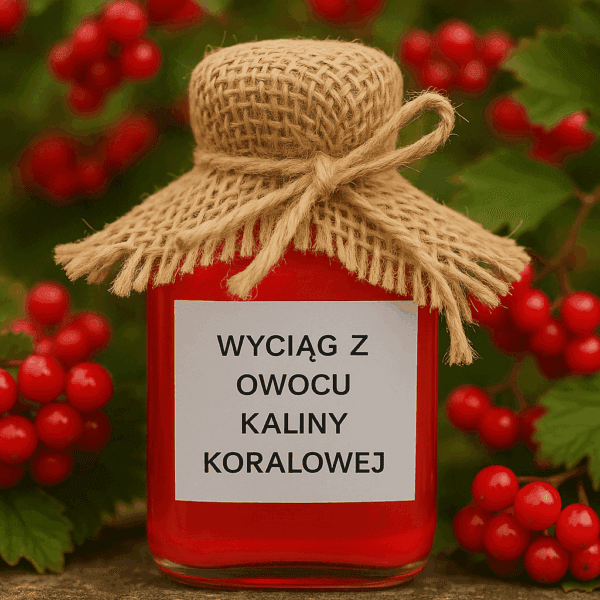 wyciag-z-owocu-klainy-koralowej Wyciąg z owocu Kaliny koralowej