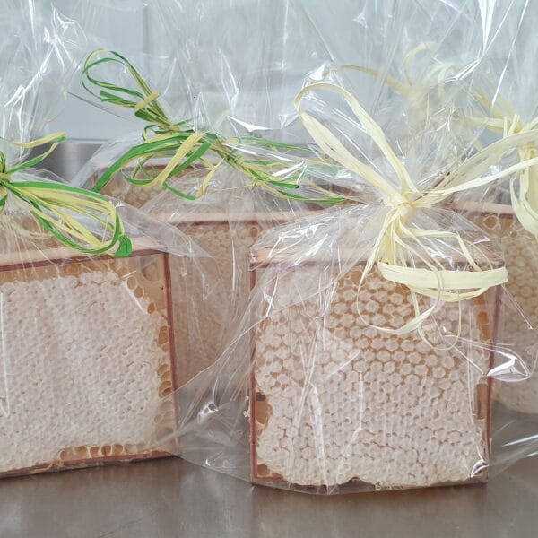 Miód Sekcyjny ,,Surowy" w ramkach 400g