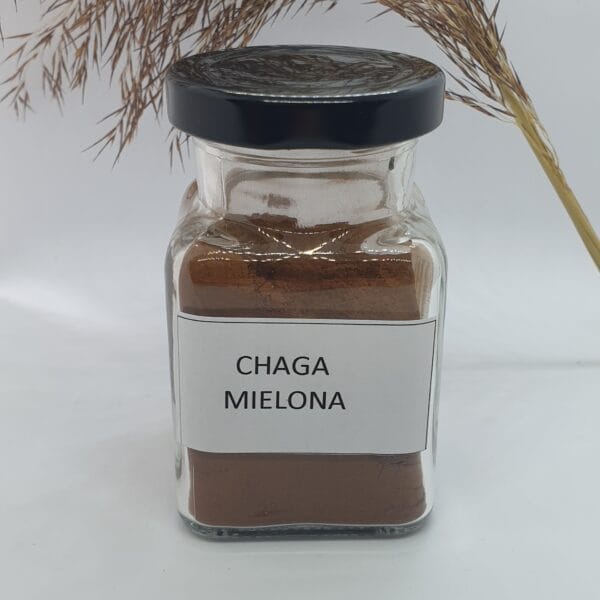Chaga mielona 50g