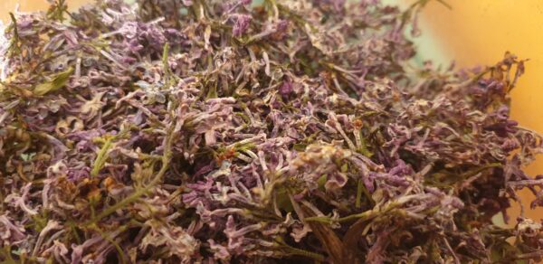 Kwiat Lilaka Pospolitego 10g