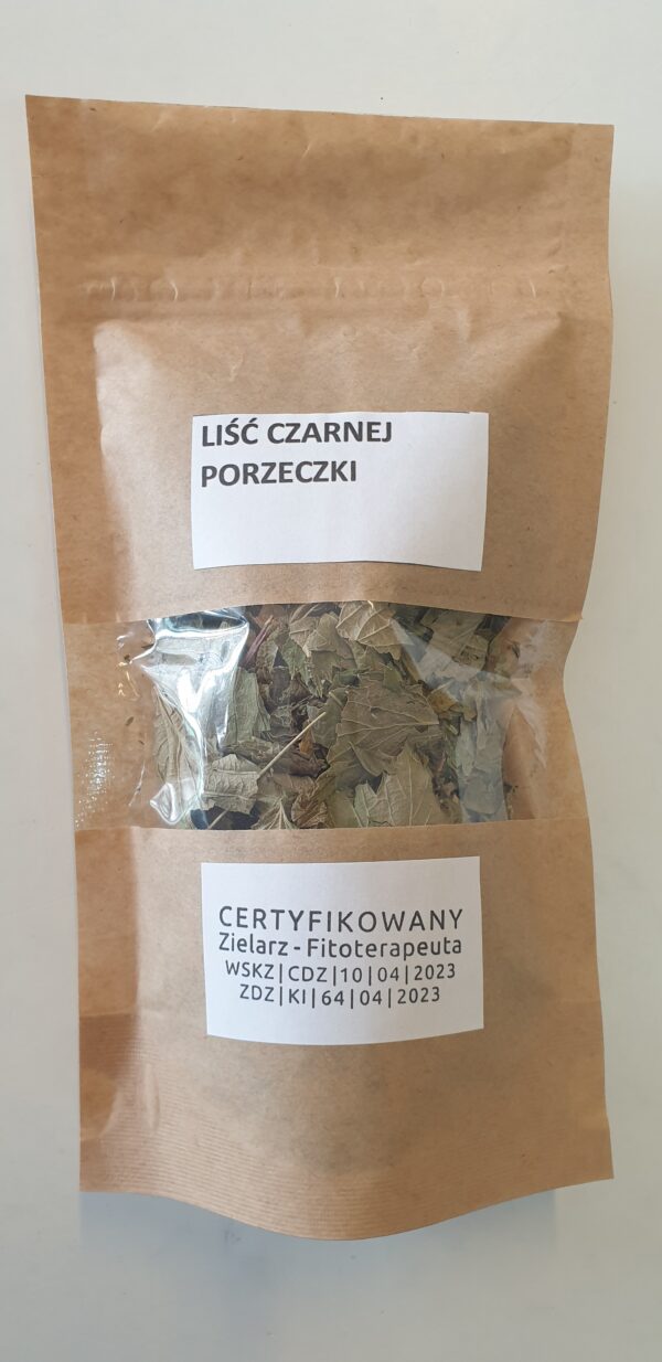 20261008_123137 Ziele Liść Czarnej Porzeczki