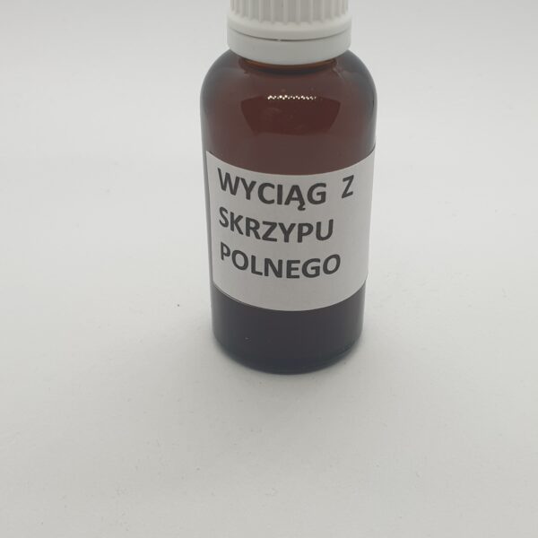 Wyciąg z Skrzypu Polnego
