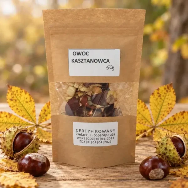 owoc-kasztanowca-50g-suszony-skarby-natury-1 Owoc kasztanowca 50g w torebce kraft z okienkiem, suszone kawałki kasztanowca, obok kasztany i jesienne liście